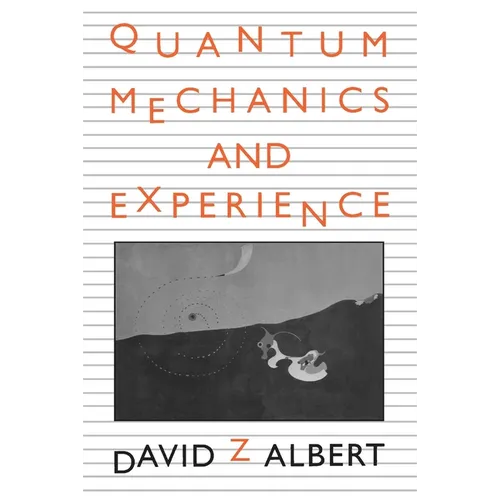 Quantum Mechanics and Experience - Paperback