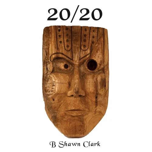 20/20 - Hardcover
