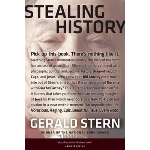 Stealing History - Paperback