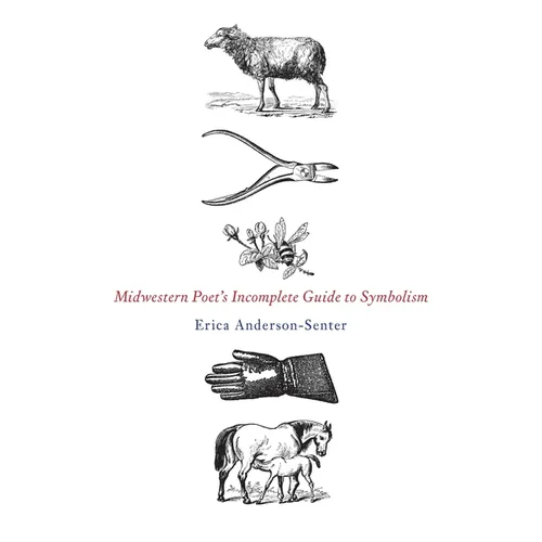 Midwestern Poet's Incomplete Guide to Symbolism - Paperback