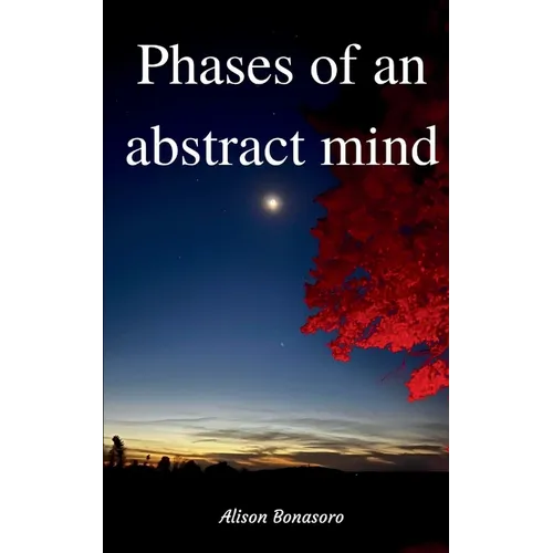 Phases of an abstract mind - Paperback