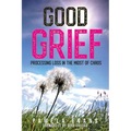 Good Grief: Processing Loss in the Midst of Chaos - Paperback