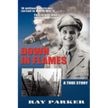 Down in Flames - Paperback