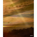 John Chiara: California - Hardcover