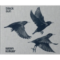 Søren Solkær: Black Sun - Hardcover