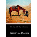 The Pony Rider Boys in Montana - Paperback