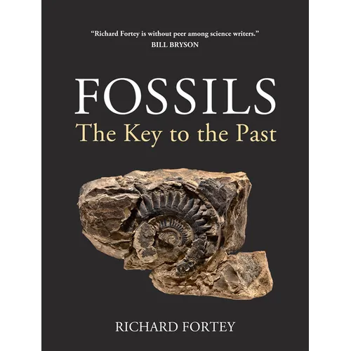 Fossils: The Key to the Past - Paperback