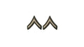 U.S. Army AGSU E-2 Private Chevron sew on rank (Female)