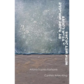 By Some Miracle a Year Lousy with Meteors - Paperback