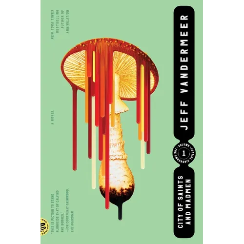 City of Saints and Madmen - Paperback
