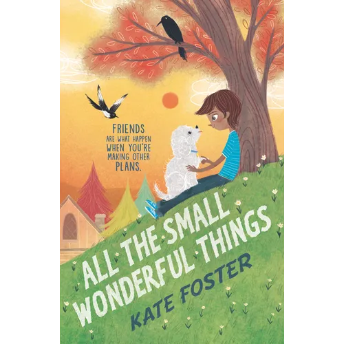 All the Small Wonderful Things - Hardcover