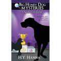 A Secret in Time - Paperback