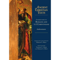 Commentaries on Romans and 1-2 Corinthians - Hardcover