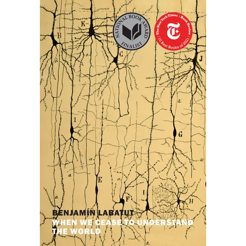 When We Cease to Understand the World - Paperback