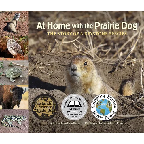 At Home with the Prairie Dog: The Story of a Keystone Species - Hardcover