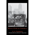What I Saw in America