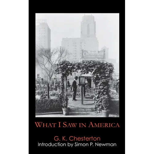 What I Saw in America