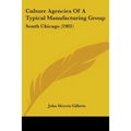 Culture Agencies Of A Typical Manufacturing Group: South Chicago (1901)