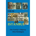 Life in ISTANBUL: A Family's Odyssey