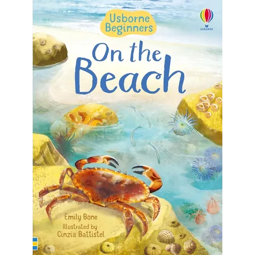On the Beach (Usborne Beginners) - Paperback