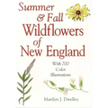 Summer & Fall Wildflowers of New England - Paperback