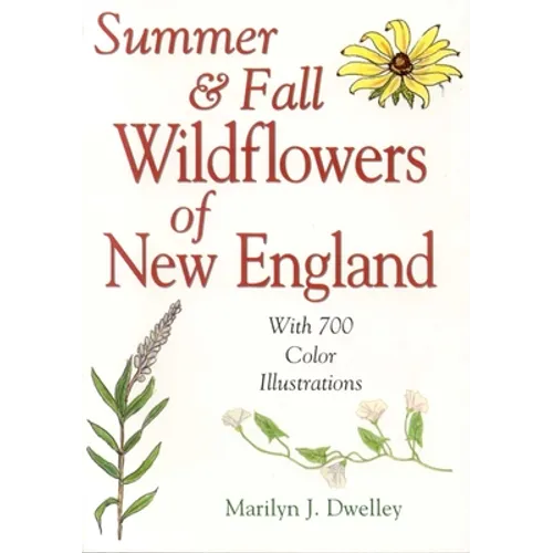 Summer & Fall Wildflowers of New England - Paperback