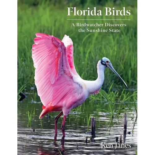 Florida Birds: A Birdwatcher Discovers the Sunshine State - Paperback
