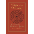 Magic of the Ordinary: Recovering the Shamanic in Judaism - Paperback