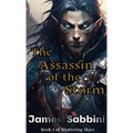 The Assassin of the Storm - Paperback