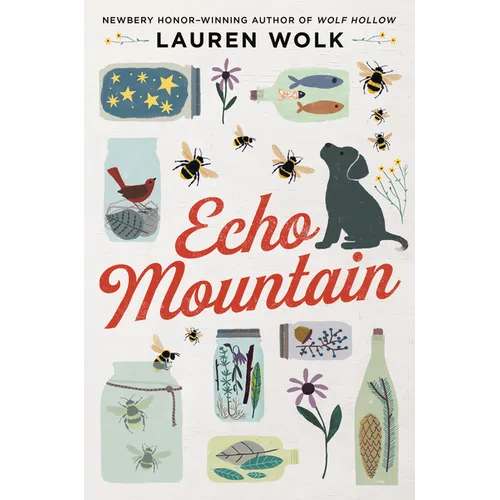 Echo Mountain - Hardcover