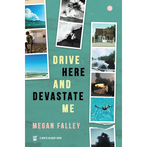 Drive Here and Devastate Me - Paperback