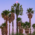 Fauxliage - Hardcover