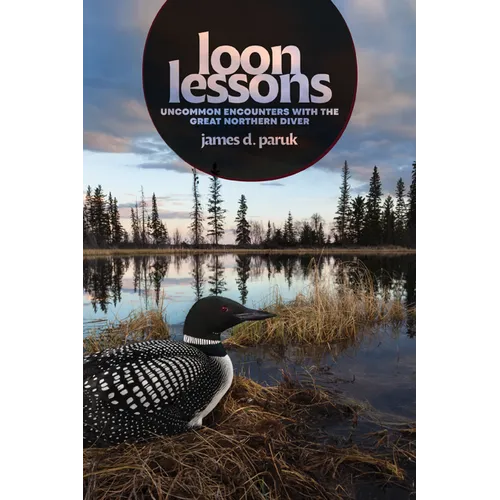 Loon Lessons: Uncommon Encounters with the Great Northern Diver - Hardcover