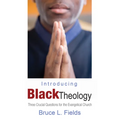 Introducing Black Theology - Hardcover
