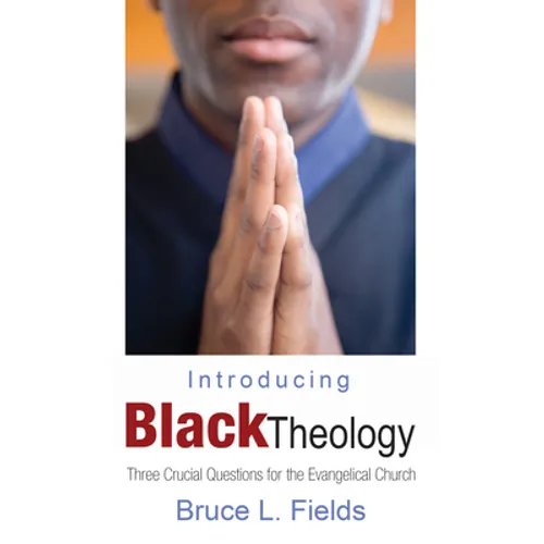 Introducing Black Theology - Hardcover
