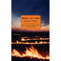 Memed, My Hawk - Paperback