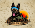 One Hell of a Good Dog K9