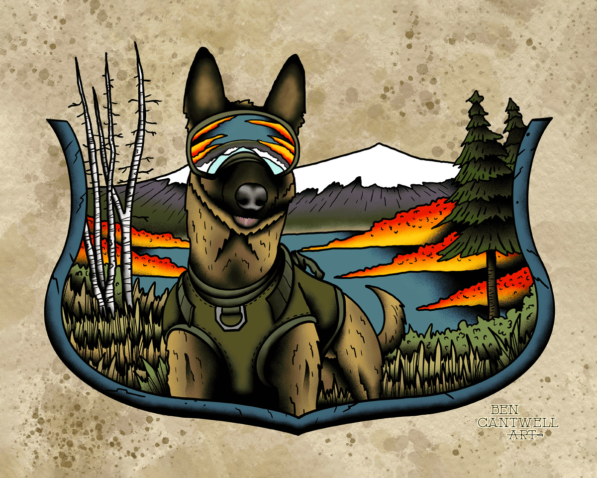 k9 in the mountians
