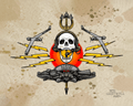 NSW, Pin, Skull, Trident  and Lightening bolts