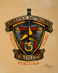 3/3 Americas Battalion