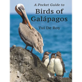 A Pocket Guide to Birds of Galápagos - Paperback