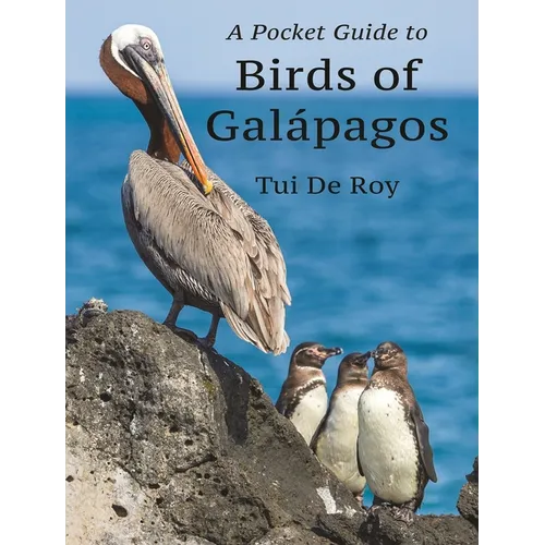 A Pocket Guide to Birds of Galápagos - Paperback