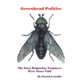 Greenhead Politics: The Story Brigantine Taxpayers Were Never Told