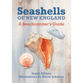 Seashells of New England: A Beachcomber's Guide - Paperback