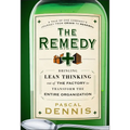 The Remedy - Hardcover
