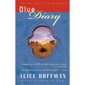 Blue Diary - Paperback