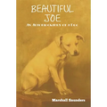 Beautiful Joe - Hardcover
