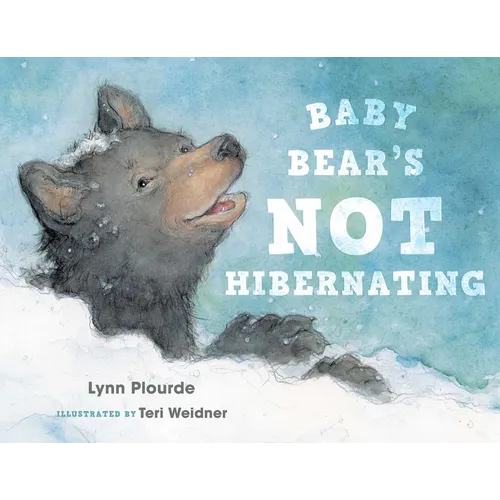 Baby Bear's Not Hibernating - Hardcover