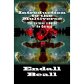 Introduction to the Multiverse: The Layman's Guide to the Comos - Paperback