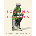 Iguana Iguana - Paperback